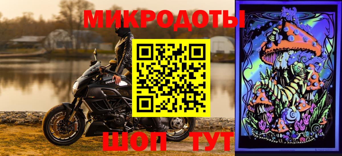 Псилоцибиновые грибы Psilocybe Михайловка