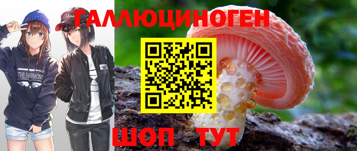 НБОМе Михайловка