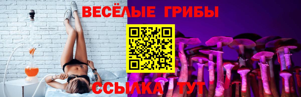 Михайловка  Псилоцибиновые грибы Psilocybe  где купить наркоту  Галлюциногенные грибы ЛСД  Вход с VPN 