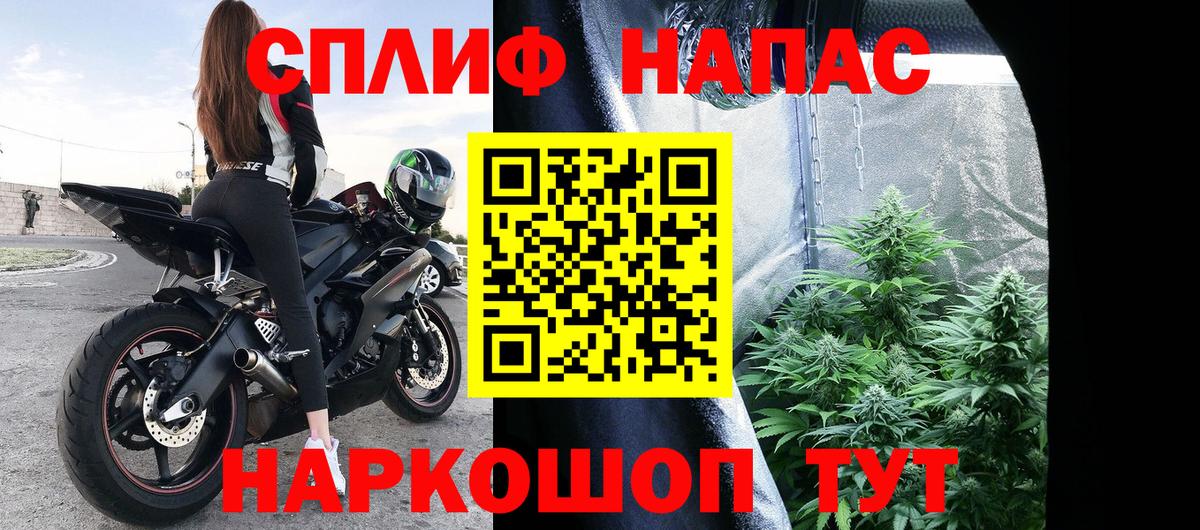 Канабис White Widow  Шишки марихуана THC 21%  Вход с VPN  Михайловка 